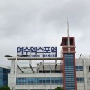 낭만 Dog | 여수 여행1 - 여수백반 낭만별식/구봉만두/씨사이드인 여수호텔/해궁샤브샤브