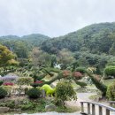 덕평공룡수목원 이미지