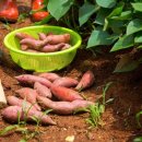 화영농장 이미지