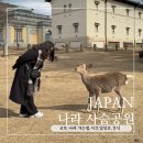 교토 나라 사슴공원 직접 가본 후기 (가는법,시간,입장료,간식)