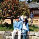한길펜션 | Korea - Taean
