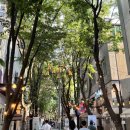 보정동 카페거리 이미지