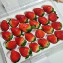 윤슬농장 | 고당도 딸기맛집 겨울이 기다려지는 이유 윤슬농장