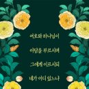 불쭈꾸미 이미지