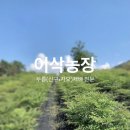 신구농장 이미지