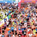 낙동강변9 이미지