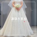108 | [W.108] 제이스포사 드레스 후기 _ 본식 가봉 4벌 착용 후기