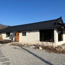 스테이노은 이미지