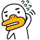 솔푸른