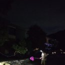 캠핑 앨리스 이미지