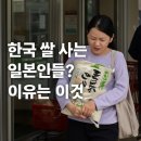 일본 쌀값 폭등에 한국 쌀 사가는 일본인들? 가격 비교 충격