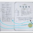 스튜디오엔나