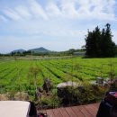 골체오름캠핑 이미지