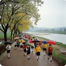 ♤이종구교수의 문학산책/도산국민학교 봄소풍 : 물레방간 분강 봄바람에 첫사랑은 부서지고~ 1)"분강촌 소풍 길에 봄비 내리고" 중에서 이미지