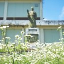 구)남상초등학교 이미지