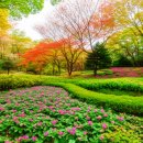 힐링 1코스 이미지