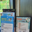 삼화운동장 이미지