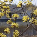 양평 여인숙 이미지