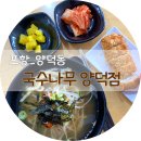 국수나무(포항양덕점) 이미지