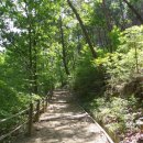 송정자연휴양림 이미지