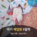 토닥토닥동물병원 | 담도폐쇄증 카사이수술 후 재입원, 아기 병원생활 5일차 현실 기록 4인실 후기