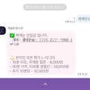 2025년 신년맞이, 사주 명리학 | 2025년 신년운세 사주 타로 내돈내산 후기