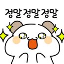 강주학교캠프 이미지