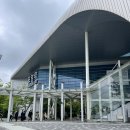 다이소 도동점 | [3박 4일 울릉도 백패킹 여행 1탄] 독도 입도 성공 첫날부터 완벽한 울릉도 여행!