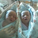 두식농원 | 오케이농원 팜누리 쌍둥이 출﻿산 후기