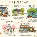 청송식육식당 | 청송 아이랑 당일치기 여행코스, 소헌공원 주산지와 닭백숙까지