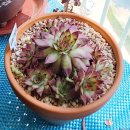 진복농장 이미지