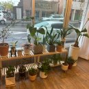 피브밀카페 이미지