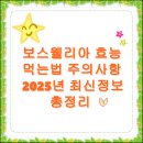 보스웰리아 효능 챙겨야 할 이유