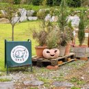 가족팬션 오늘 | [오늘 어디갈까] 🍁찐 독채펜션 <홍천 이루와>🏡 가족여행 후기(f.반려견 동반펜션)