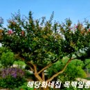 2023.07.31월요일(출부)"좋은글이라공유합니다" 이미지