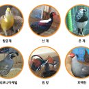 광주조류원 이미지