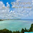 에이 앤 비(A&B) | 괌 자유여행 4월 5월 날씨 건기 옷차림 앤토니오 B.원팻 공항 픽업 후기 및 택시이용방법