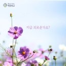 살아있는 모든 사람들은 행복할 권리가 있어요 이미지