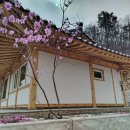 꽃향기머무는집 이미지