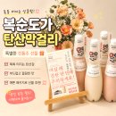 복순도가 | 전통주 선물 탄산막걸리 부모님도 반한 복순도가 손막걸리 후기