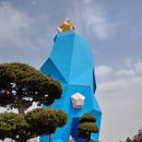 대교미트