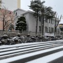 닥치고춤춰?)/ 스파이더맨 뒷북치기/ 아임낫베이커리/ 누데이크 추천/ 슈프림치킨 태어나서 첨먹어본 후기
