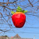 버스정류장-기민중 | [논산] 2026 논산 딸기축제 (딸기축제 토요일 방문 후기)