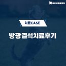 내품애동물병원 | [노원내곁에동물병원]강아지 방광결석 치료 후기