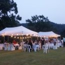 비봉농원 이미지