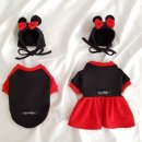 뷰티 앤 독 이미지