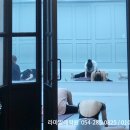 지젤발레센터학원 이미지
