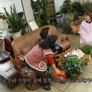 랑데뷰 Daum카페