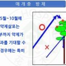 소나무병원 이미지