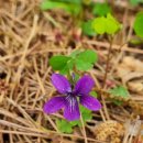 천마산10리길 이미지